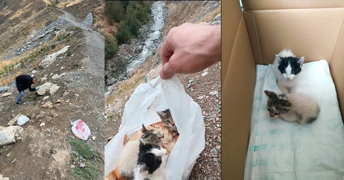 Poşetin içine konulup ölüme terk edildiler
