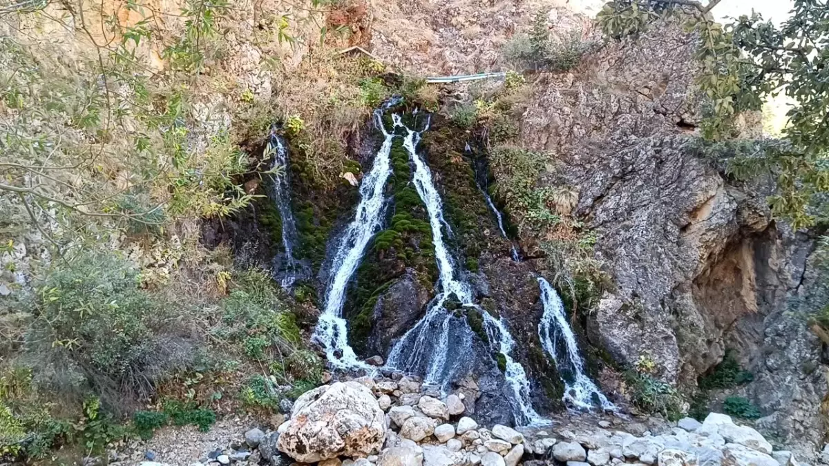 9 Yaşındaki Musa’nın Eşekli Eğlencesi