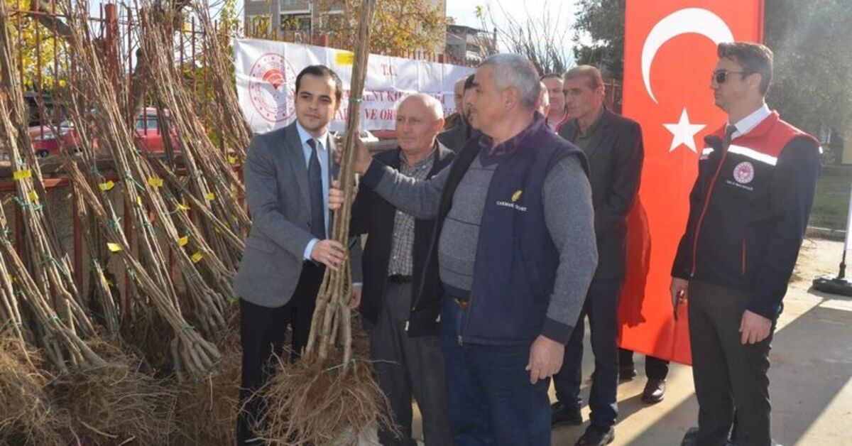 Buharkent’te üreticilere kestane fidanı dağıtıldı