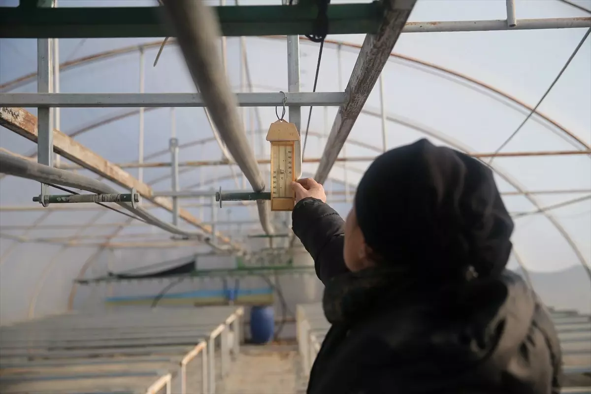 Edirne’de Üreticiler Zirai Donla Mücadele Ediyor