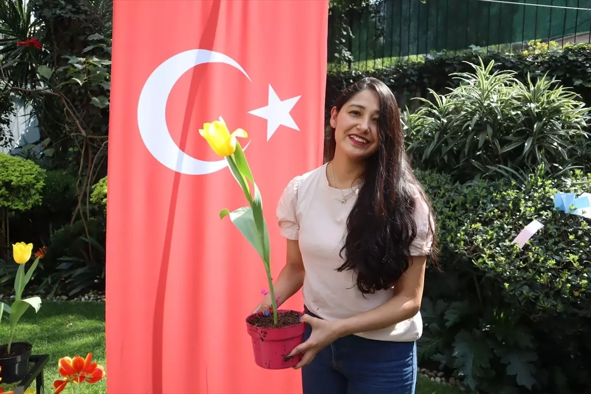 Meksika’da İlk Lale Festivali
