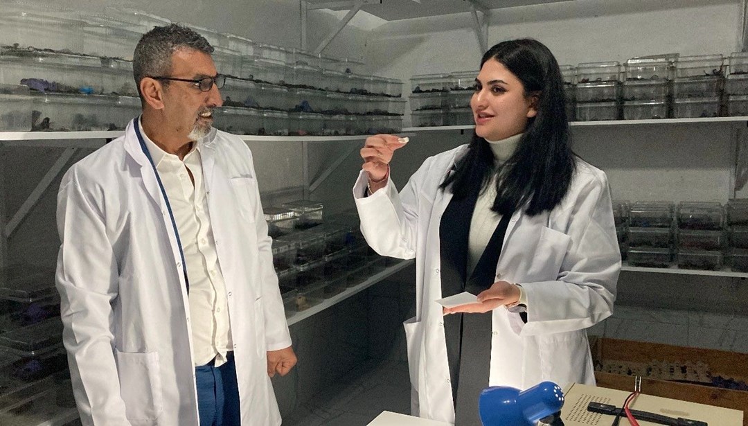 Akrep zehrini şekere damlatıp yiyor